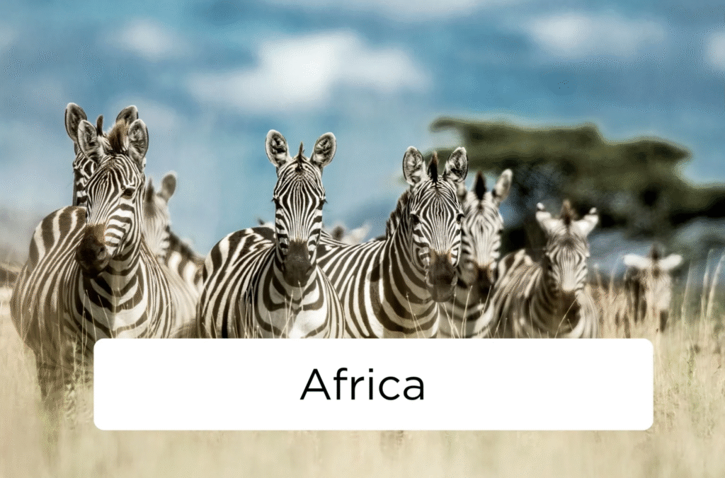 generated image november 29, 2025 12 45am (1)